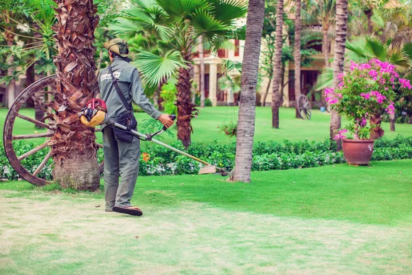 Cutting grass in garden with the trimmer vietnam