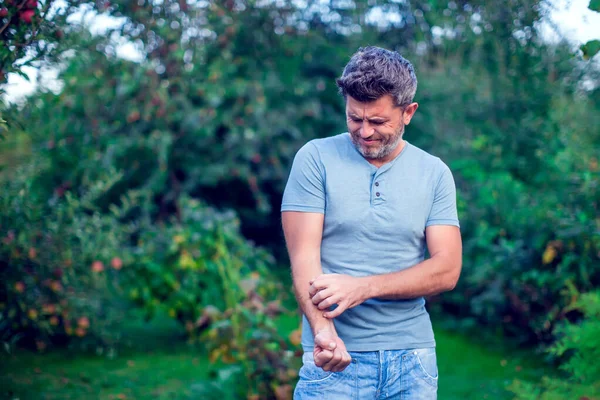 İnsanlar kaşıntıyı elleriyle, dirseğiyle, kaşıntısıyla, sağlığıyla ve tıbbıyla kaşındırıyor.