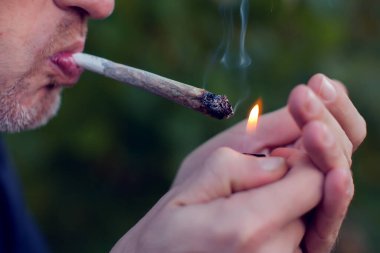 Adam esrar içiyor. Esrarın tıbbi esrar kullanımı ve yasallaştırılması, hafif uyuşturucu kavramı