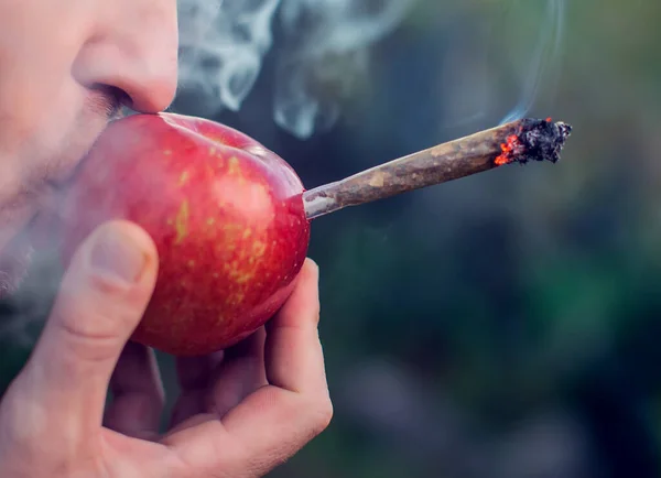Hombre Fumando Marihuana Través Una Manzana Concepto Drogas Ligeras — Foto de Stock