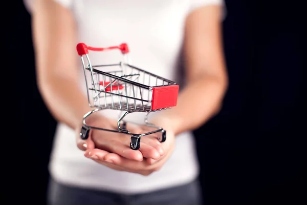 Woman Holds Toy Shopping Trolley People Shopping Concept — Stock Photo, Image