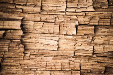 Ağaç kabuğu dokusu. Tahta duvar arkaplan paneli