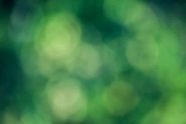 Yumuşak odaklı bulanık yeşil doğa arka planı. Soyut doku