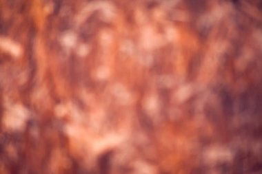 Yumuşak odaklı bulanık kahverengi arkaplan. Soyut doku