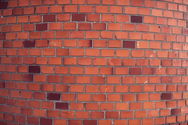 벽돌을 배경으로 의벽의 — 스톡 사진