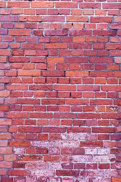 수직적 의벽의 — 스톡 사진