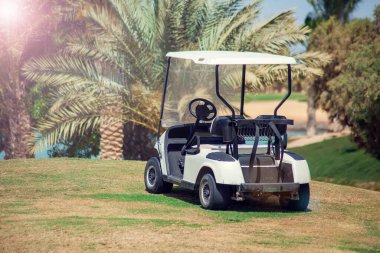 Golf arabaları çimen spor sahasında. Spor ve yaşam tarzı kavramı