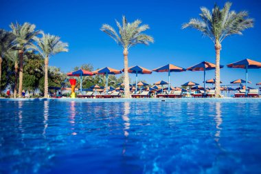 Plaj sandalyeleri yüzme havuzunun yanında. Tatil, seyahat kavramı