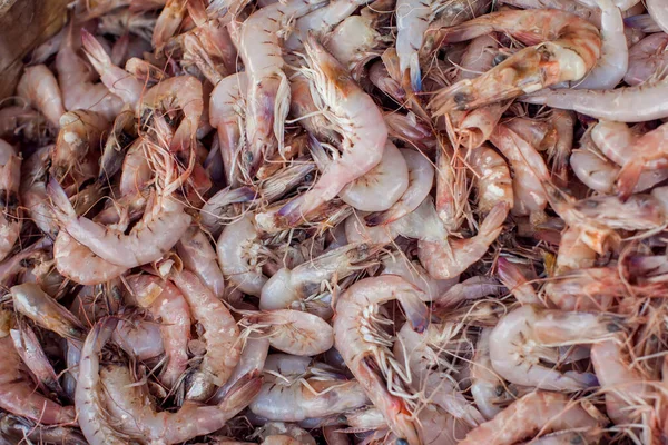 Lot Different Kind Fish Market — Stock Photo, Image