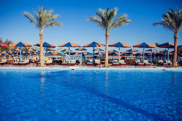 Plaj sandalyeleri yüzme havuzunun yanında. Tatil, seyahat kavramı