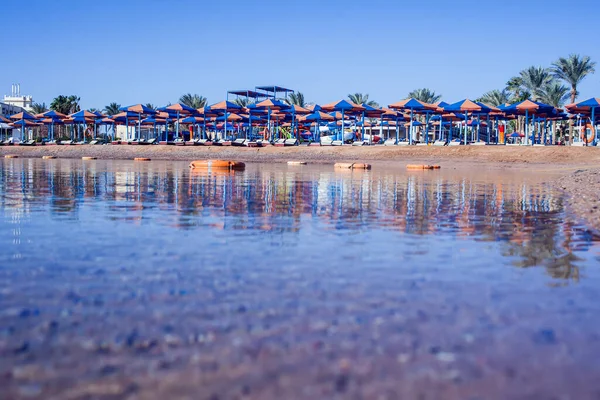 Pláž Lehátky Stojícími Řadě Béžovém Písku Koncept Dovolené Cestování — Stock fotografie