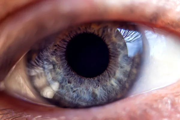 Macro Image Human Blue Eye Close Details — Stock Photo, Image