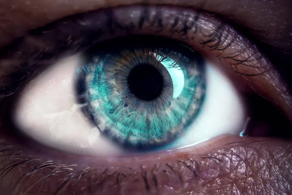 Macro Image Human Blue Eye Close Details — 图库照片
