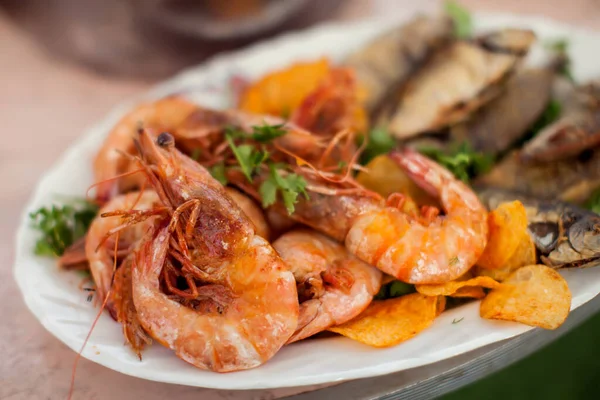 Different Kinds Sea Food Dishes Plates Table — Stock Photo, Image