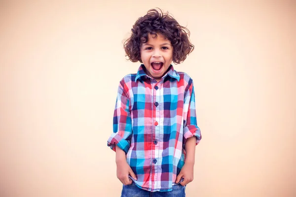 Portrait Happy Joyful Laughing Little Boy — Stok Foto