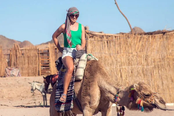 Єгипет Хургада Травня 2019 Року Бедуїни Туристи Їдуть Верблюдами Пустелі — стокове фото