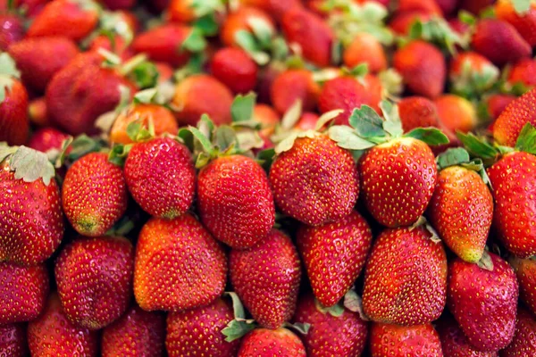Fresh, organic,hand picked ripe strawberries for sale at farm market. Food concept