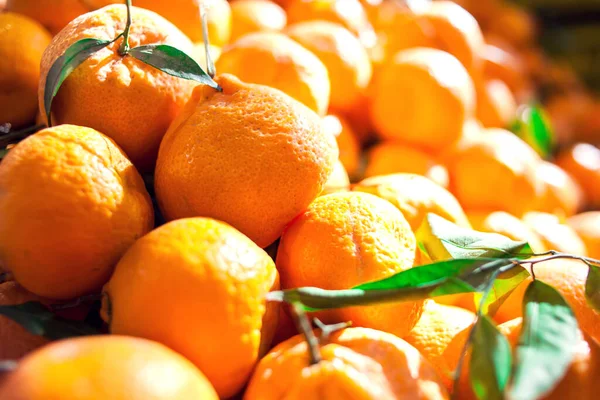 Baru Organik Mandarin Untuk Dijual Pasar Pertanian — Stok Foto
