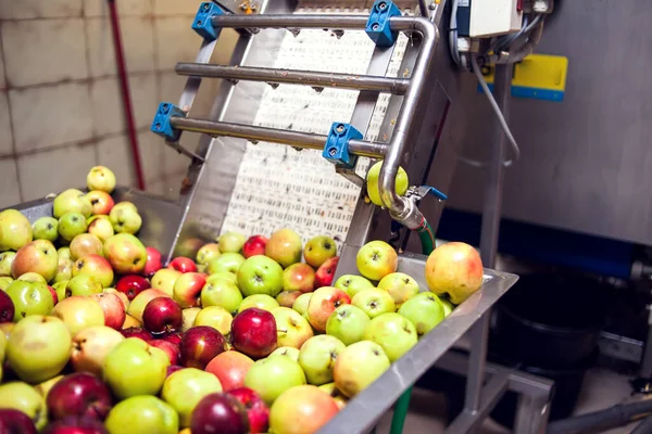 Sebuah Pengolahan Apel Untuk Produksi Jus Segar Konsep Makanan Dan Stok Gambar