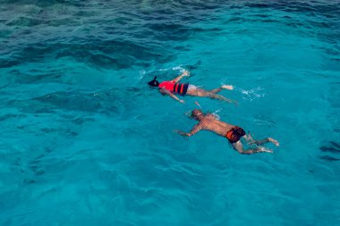 Denizde şnorkelle yüzen insanların en üst görüntüsü. Tatil kavramı
