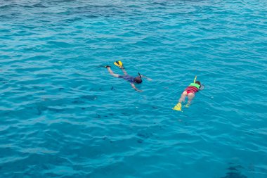 Denizde şnorkelle yüzen insanların en üst görüntüsü. Tatil kavramı