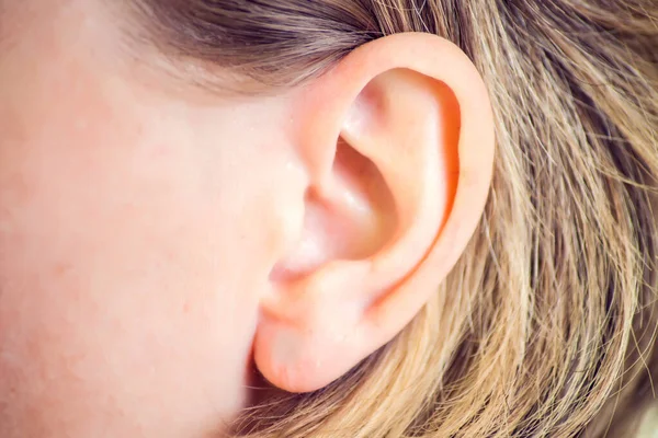 Hearing, health, beauty and piercing concept - close up shot of woman\'s ear