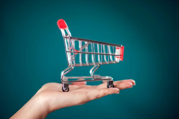 Woman Hand Holding Empty Shopping Trolley Hand Commercial Concept — Photo