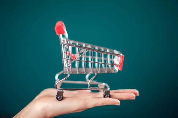 Woman Hand Holding Empty Shopping Trolley Hand Commercial Concept — Stock Photo, Image