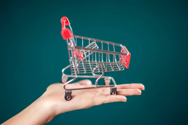 Woman Hand Holding Empty Shopping Trolley Hand Commercial Concept — Stock Photo, Image