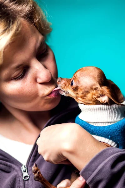 Wanita Berambut Pirang Pendek Memegang Anjing Kecil Mainan Terrier Tangan — Stok Foto