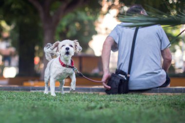 Köpekli bir adam sokakta oturuyor. Evcil hayvanların bakımı