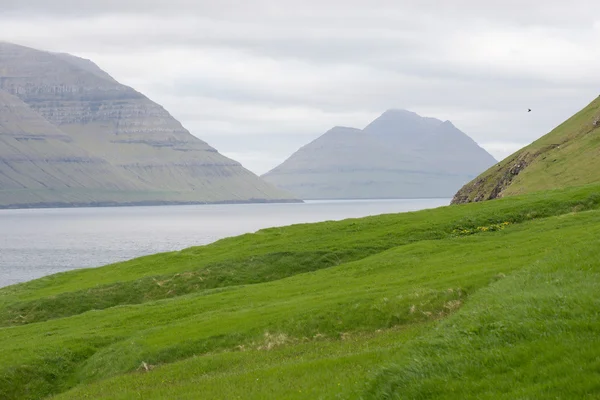 Landscape on the Faroe Islands — Stock Photo, Image