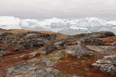 Arctic landscape in Greenland clipart