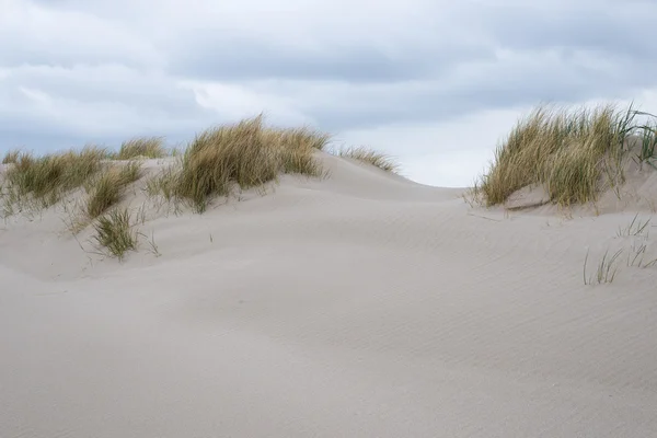 Sanddyner med strandgress – stockfoto