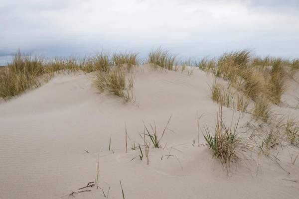 Dunas de areia com beachgrass — Fotografia de Stock