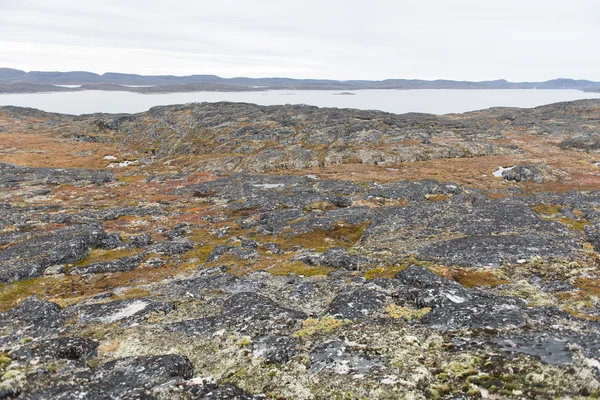 Arctic landscape around Aasiaat — Stock Photo, Image