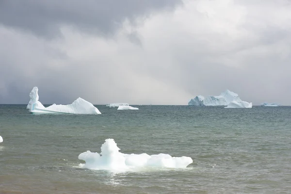 Schöne Eisberge — Stockfoto