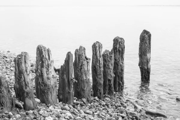Ingle de madera envejecida en la playa —  Fotos de Stock