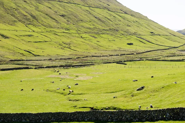 Paesaggio sulle Isole Faroe — Foto Stock