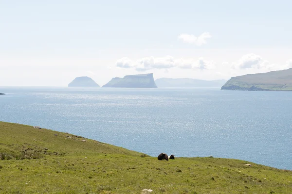 Landschaft auf den Färöern Stockbild