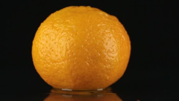 Une goutte d'eau coule sur la peau d'un mandarin — Video