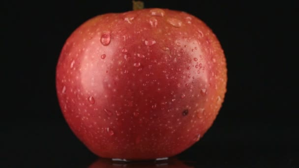 Gota de agua fluye por la piel de una manzana roja — Vídeos de Stock