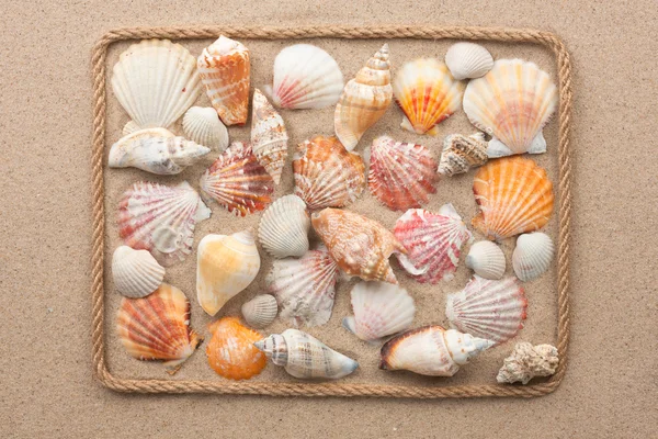 Hermoso marco de cuerda y conchas de mar en la arena — Foto de Stock