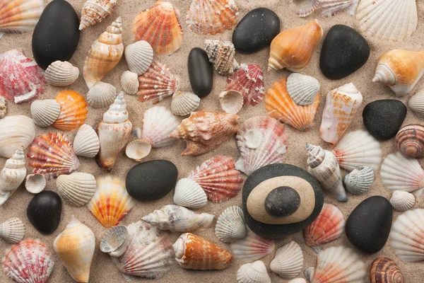 Pyramid stands on seashells and stones — Stock Photo, Image