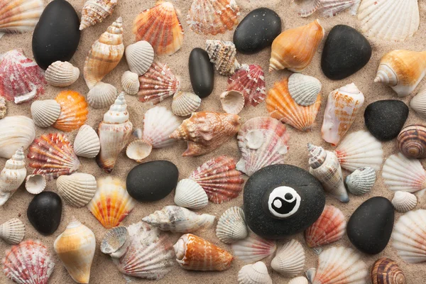 Pyramid yinyang stands on seashells and stones — Stock Photo, Image