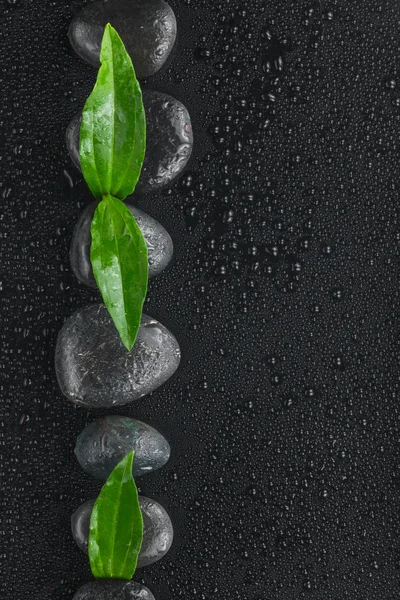 Line made from black stones and leaves — Stock Photo, Image