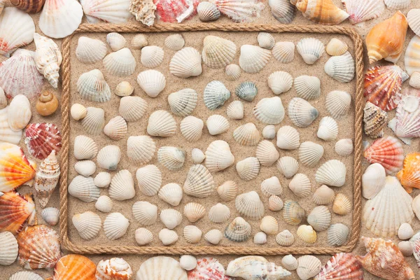 Hermoso marco de cuerda y conchas de mar en la arena — Foto de Stock