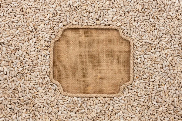 Figured frame made of rope with sunflower seeds on sackcloth — Stock Photo, Image