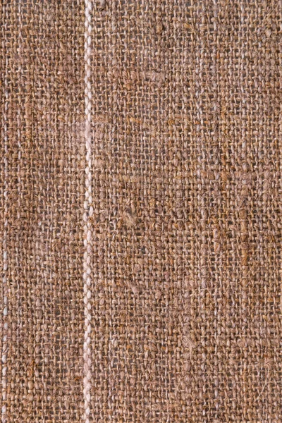 Textura natural de serapilheira com uma faixa branca como fundo — Fotografia de Stock