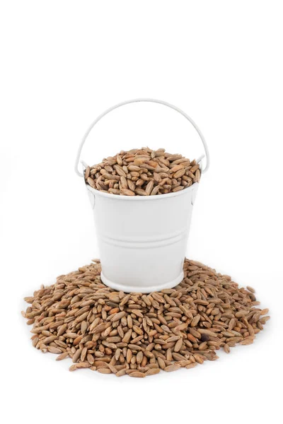 White bucket full of rye, stands on a heap rye — Stock Photo, Image